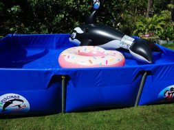 Piscinas willy Desmontabes Managua