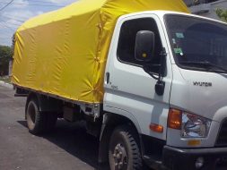 carpas caupolican managua